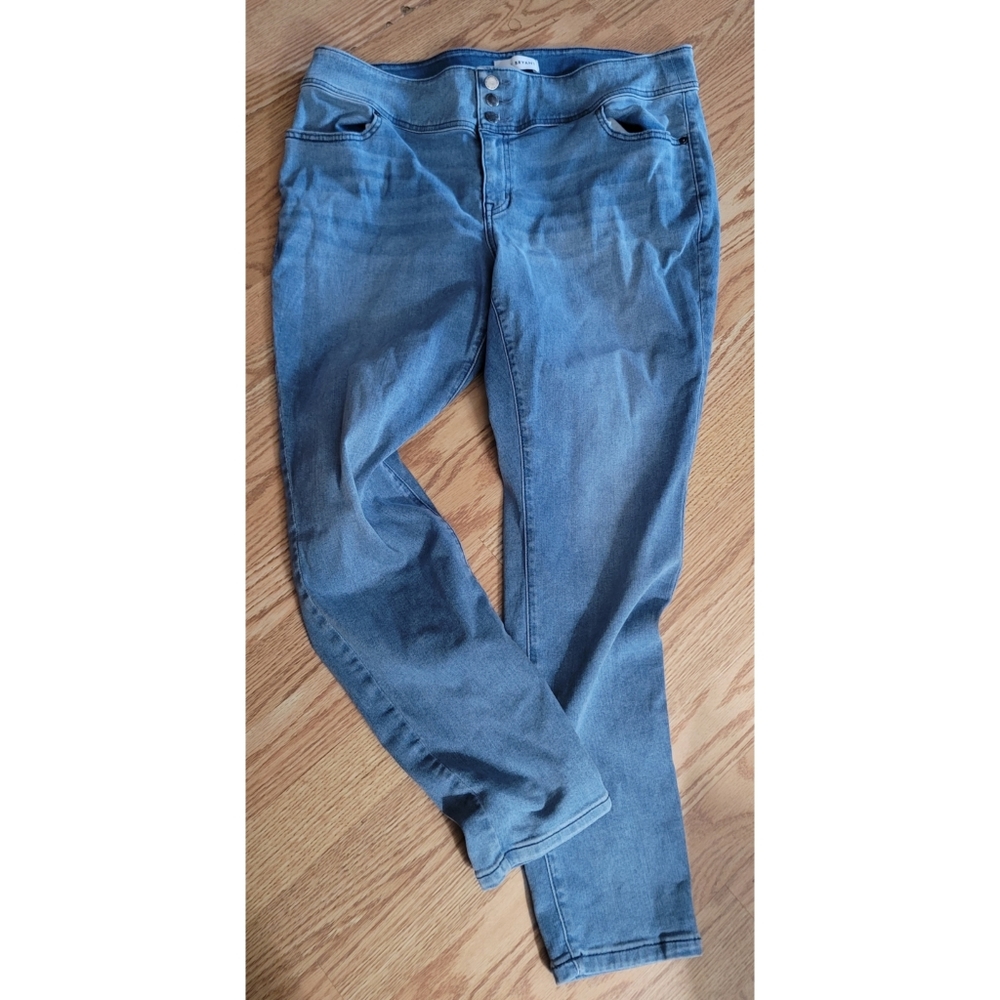 Lane Bryant jeggings 20
